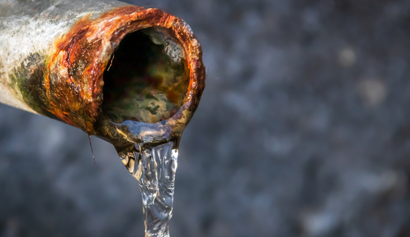 Effects of Lead in Drinking Water