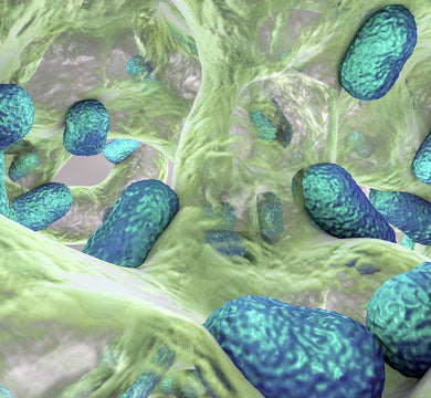 Biofilm Formations Present Serious Legionella Risk for Buildings Looking to Reopen